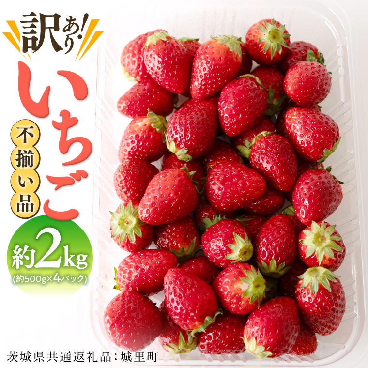 【訳あり】いちご 2kg（500g×4パック）【1月から発送開始】（茨城県共通返礼品 [いちご]：城里町産） 果物 フルーツ 苺 イチゴ 不揃い わけあり 先行予約 家庭用 アレンジ お菓子作り スイーツ [BI369-NT]