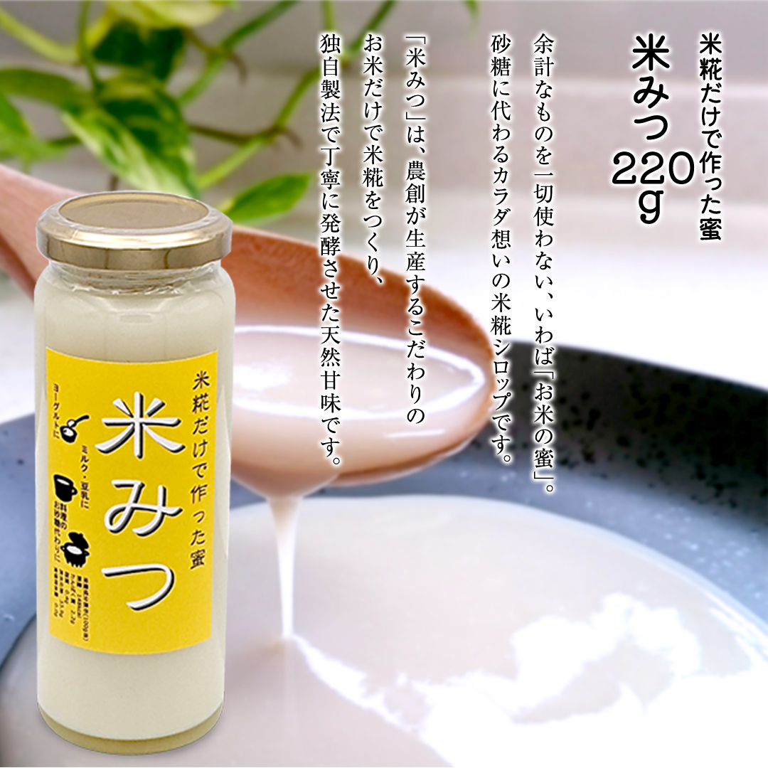 【定期便】三百年以上続く歴史のある 農創 オススメ 3か月 連続お届け 精米 米 お米 米粉 甘酒 食べる甘酒 こめつぶパンダ 米みつ 塩糀 糀 こうじ [AC94-NT]