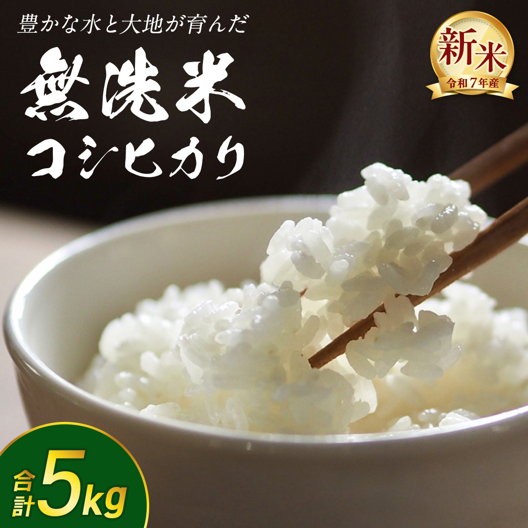 【 無洗米 】令和7年産 新米 コシヒカリ 5kg 茨城県つくばみらい市産 時短 手軽 粘り 甘み 茨城 こしひかり 令和7年 [FF01-NT]