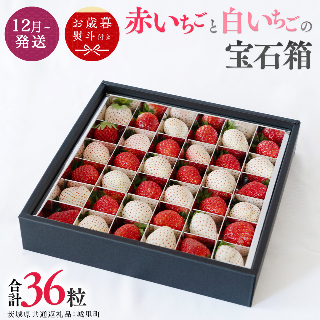 赤いちご と 白いちごの宝石箱 36粒 【12月から発送開始】（茨城県共通返礼品 [いちご]：城里町産） いちご 苺 イチゴ 白いちご 白イチゴ 宝石箱 [BI420-NT]