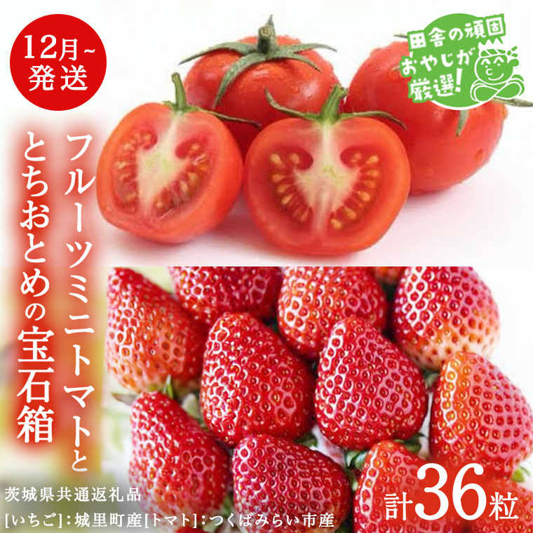 とちおとめ と フルーツミニトマト宝石箱 36粒【1月より発送開始】（茨城県共通返礼品 [いちご]：城里町産　[トマト]：つくばみらい市産） 詰め合わせ 果物 フルーツ 茨城県産 [BI467-N