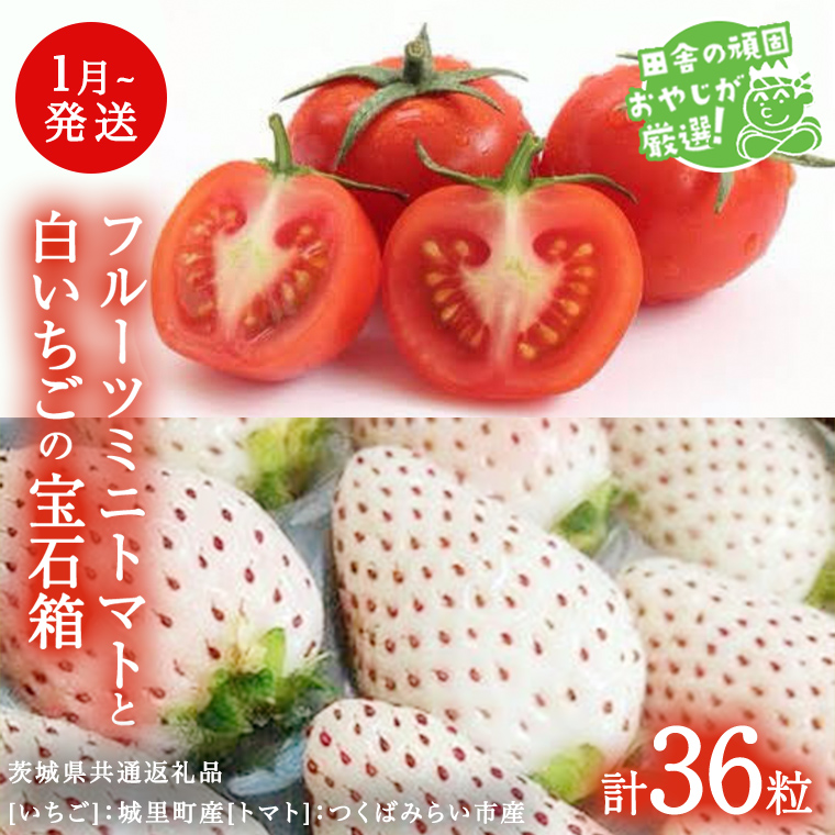 白いちご と フルーツミニトマトの宝石箱 36粒【1月から発送開始】（茨城県共通返礼品 [いちご]：城里町産　[トマト]：つくばみらい市産）  詰め合わせ 果物 フルーツ 茨城県産 [BI469-NT]