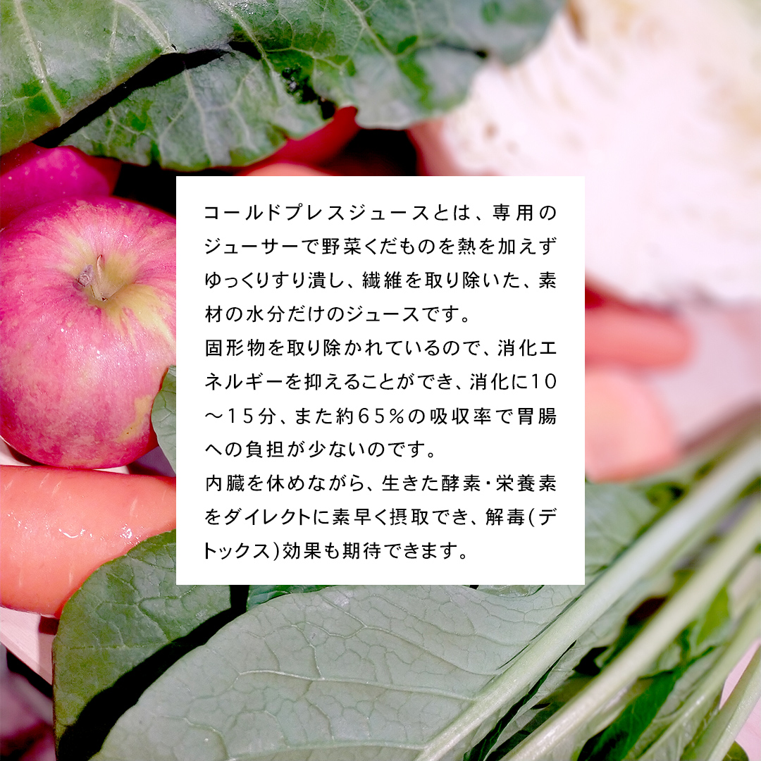 【定期便 全６回】野菜と果物の コールドプレスジュース ＧＲＥＥＮ ＧＡＲＤＥＮ 200ml × 3本セット 酵素ドリンク ライフスタイル 健康 美容 野菜 果物 新鮮 特別栽培 SDGs ジュース 冷凍 [DZ09-NT]