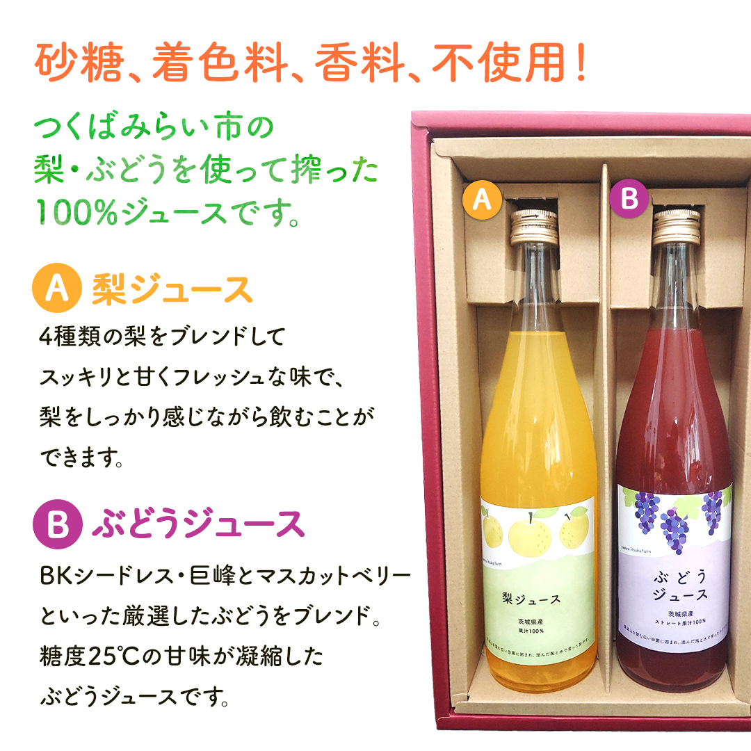 地元農家が作る つくばみらい市産 梨 を使った 梨ジュース・ぶどうジュース 720ml 2本セット 果汁100％ 朝食 飲み物 飲料 果実飲料 フルーツ 果物 ドリンク やわら飯塚農園 [CZ17-NT]