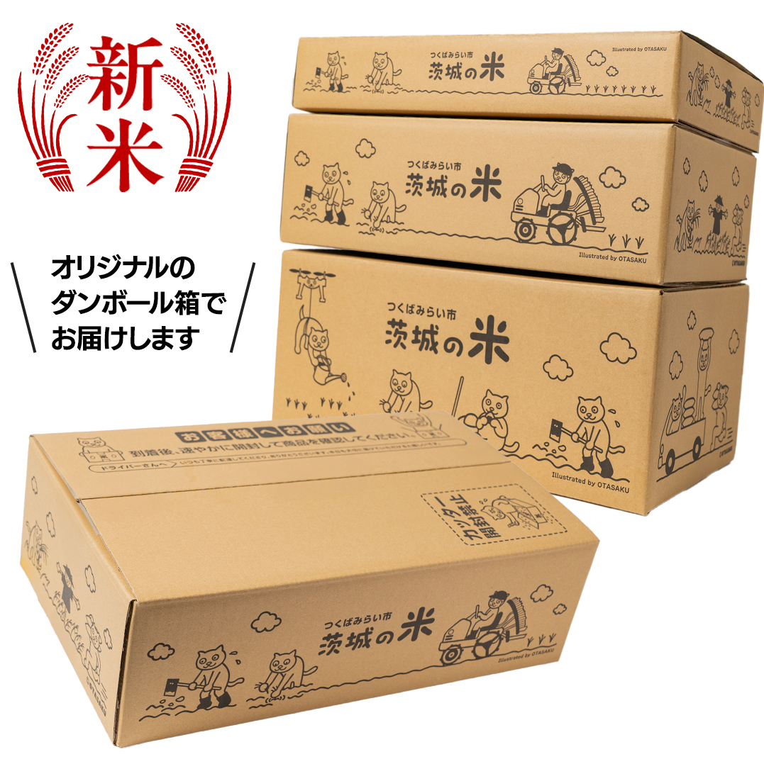 【12月上期出荷】 コシヒカリ 5kg 令和7年産精米 【 数量限定 】茨城県つくばみらい市産 米 コメ 単一米 11000 茨城県産 国産 発送 コスパ こしひかり [CL200-NT]