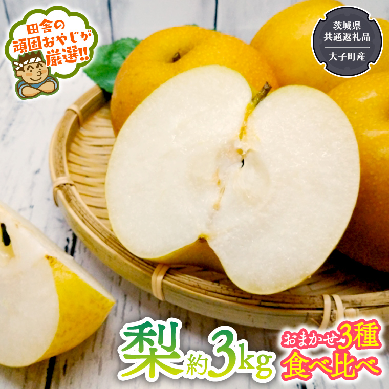 梨 食べ比べ 品種おまかせ3種類 約3kg【2026年8月より発送開始】（茨城県共通返礼品 [梨]：大子町産）田舎の頑固おやじが厳選！ 幸水 豊水 新高 南水 二十世紀 [BI124-NT]