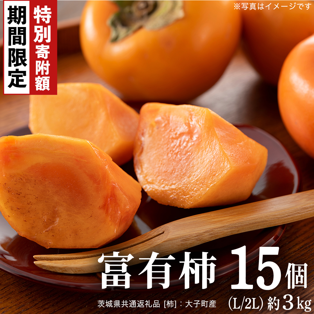 ＼ 12/31まで 期間限定 特別寄附金額！ ／ 富有柿 15個 約3kg（L、2L）【11月より発送開始】（茨城県共通返礼品 [柿]：大子町産） | 柿 かき [FC23-NT]