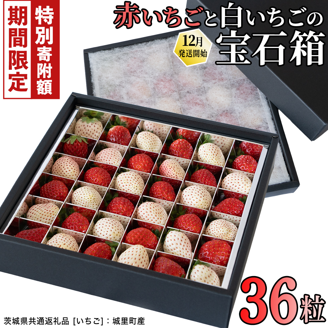 ＼ 12/31まで 期間限定 特別寄附金額！ ／ 赤白いちごの宝石箱アソート 36粒 【2025年12月から発送開始】（茨城県共通返礼品 [いちご]：城里町産）  | いちご 苺 赤 イチゴ 白いちご 白イチゴ 宝石箱 [FC25-NT]