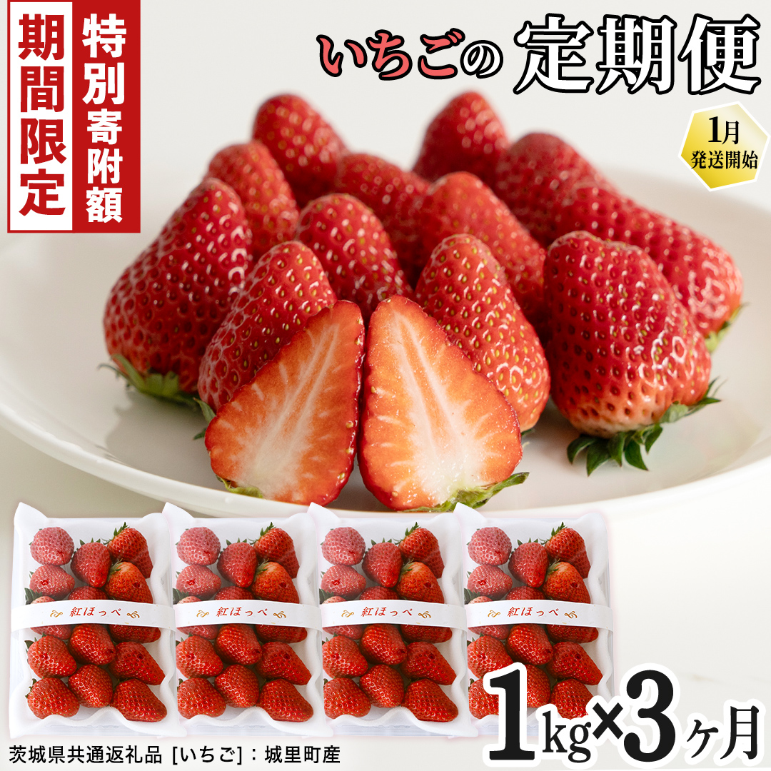 ＼ 12/31まで 期間限定 特別寄附金額！ ／ 【定期便】いちご3ヶ月連続お届け便 （250g×4パック）×3回　【2026年1月から発送開始】（茨城県共通返礼品 [いちご]：城里町産） | 果物 フルーツ イチゴ 苺 白いちご とちおとめ 紅ほっぺ やよいひめ 定期便 [FC26-NT]
