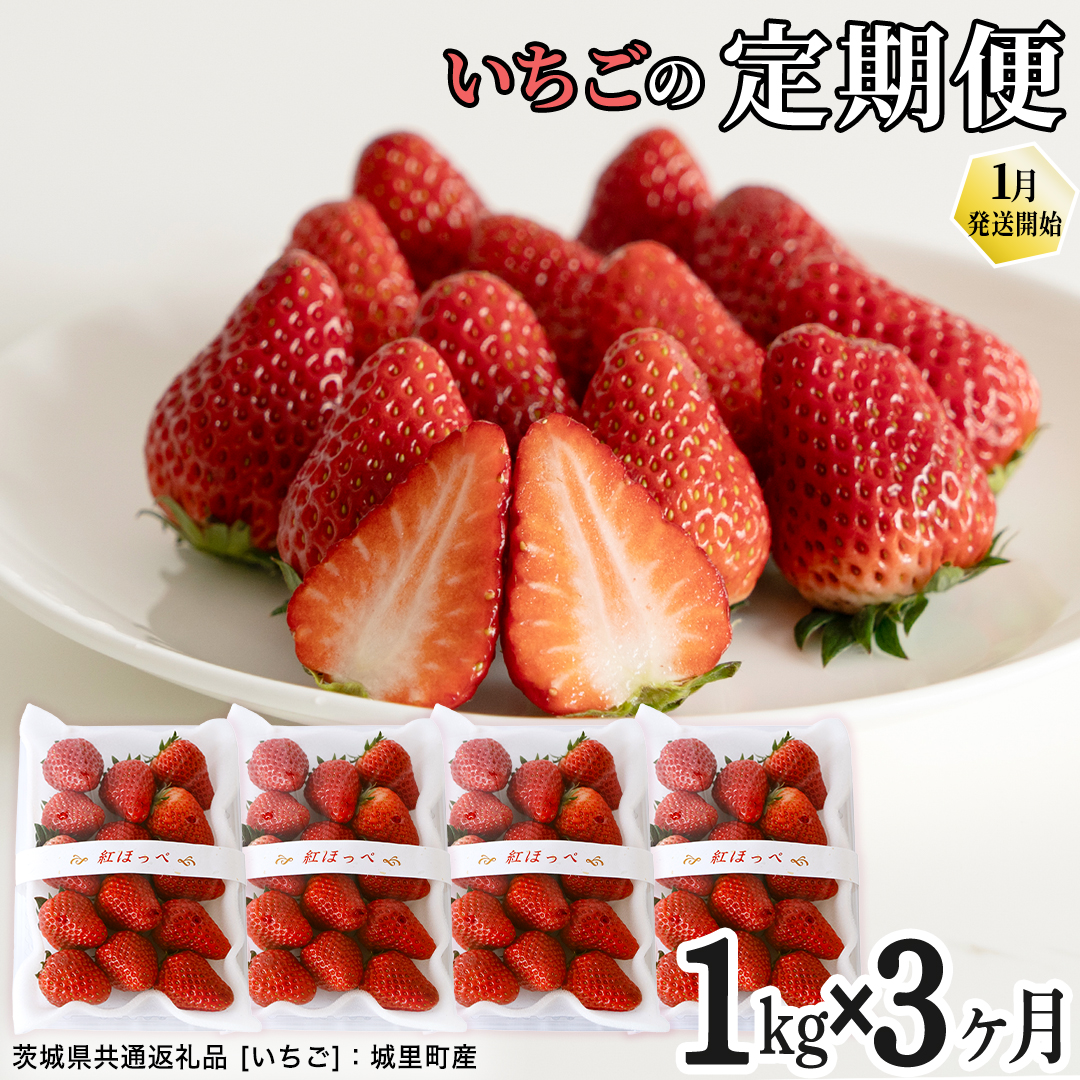 【定期便】いちご3ヶ月連続お届け便 （250g×4パック）×3回　【2026年1月から発送開始】（茨城県共通返礼品 [いちご]：城里町産） | 果物 フルーツ イチゴ 苺 白いちご とちおとめ 紅ほっぺ やよいひめ 定期便 [FC26-NT]