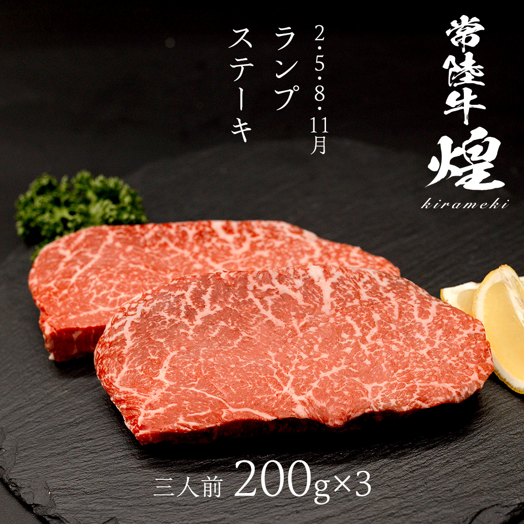 【定期便】＜全3回＞ 【 常陸牛 煌 】 ステーキ 堪能セット 約3人前 (茨城県共通返礼品)  牛肉 ブランド牛 きらめき 和牛 A5 黒毛和牛 国産黒毛和牛 国産牛 希少 贈答 ギフト [BX152-NT]