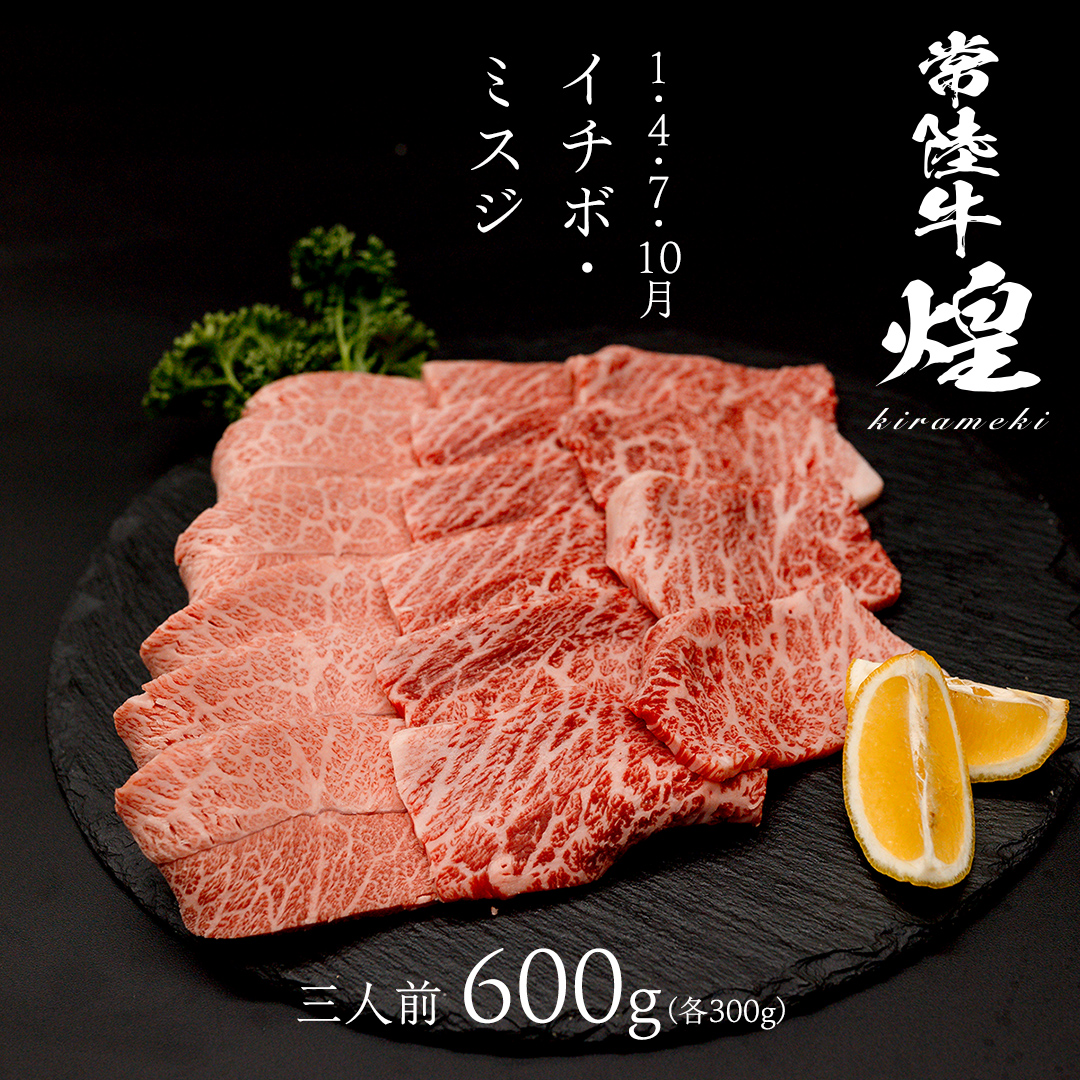 【定期便】＜全3回＞ 【 常陸牛 煌 】 焼肉 希少部位 堪能セット 約3人前 (茨城県共通返礼品)  牛肉 ブランド牛 きらめき 和牛 A5 黒毛和牛 国産黒毛和牛 国産牛 希少 贈答 ギフト [BX154-NT]