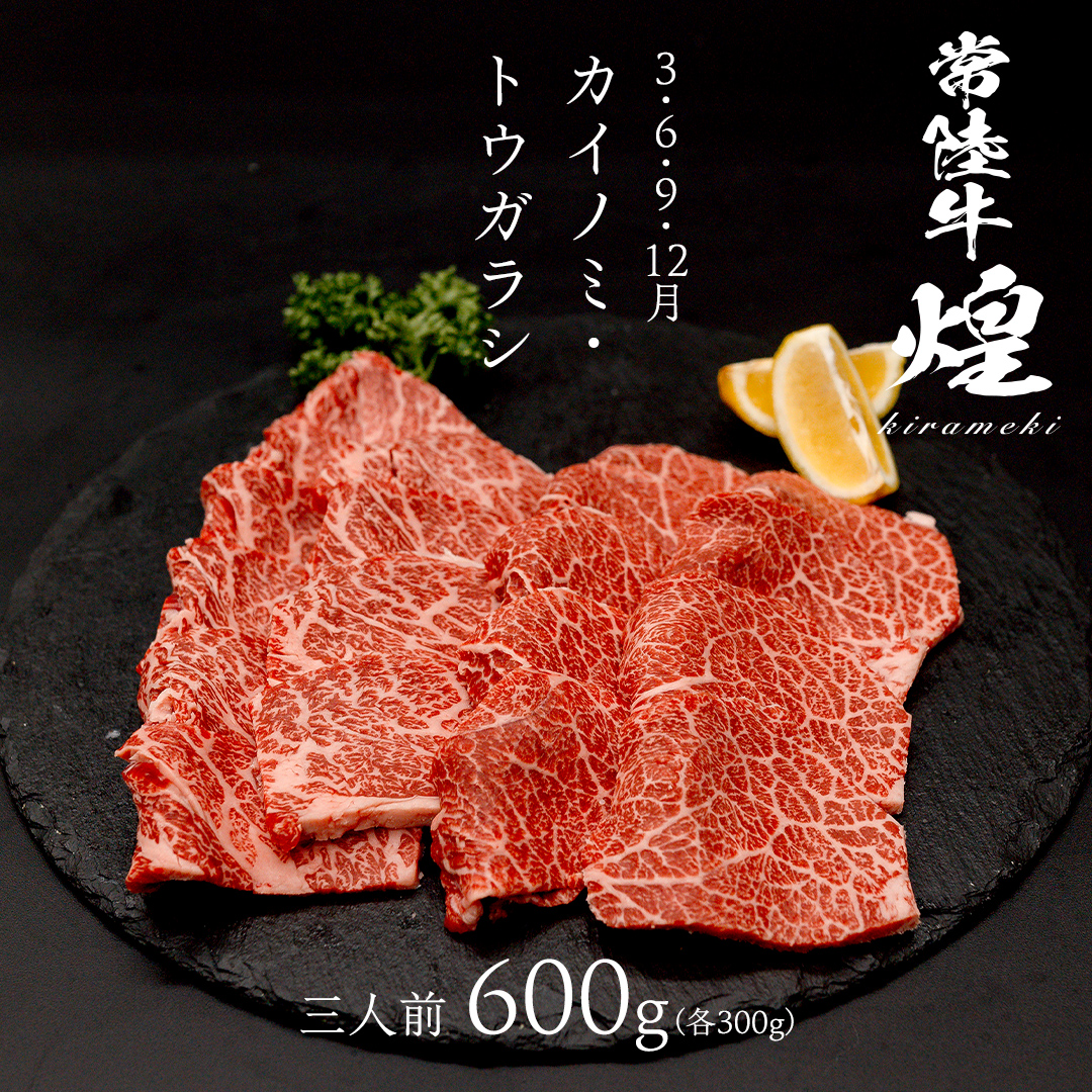 【定期便】＜全3回＞ 【 常陸牛 煌 】 焼肉 希少部位 堪能セット 約3人前 (茨城県共通返礼品)  牛肉 ブランド牛 きらめき 和牛 A5 黒毛和牛 国産黒毛和牛 国産牛 希少 贈答 ギフト [BX154-NT]