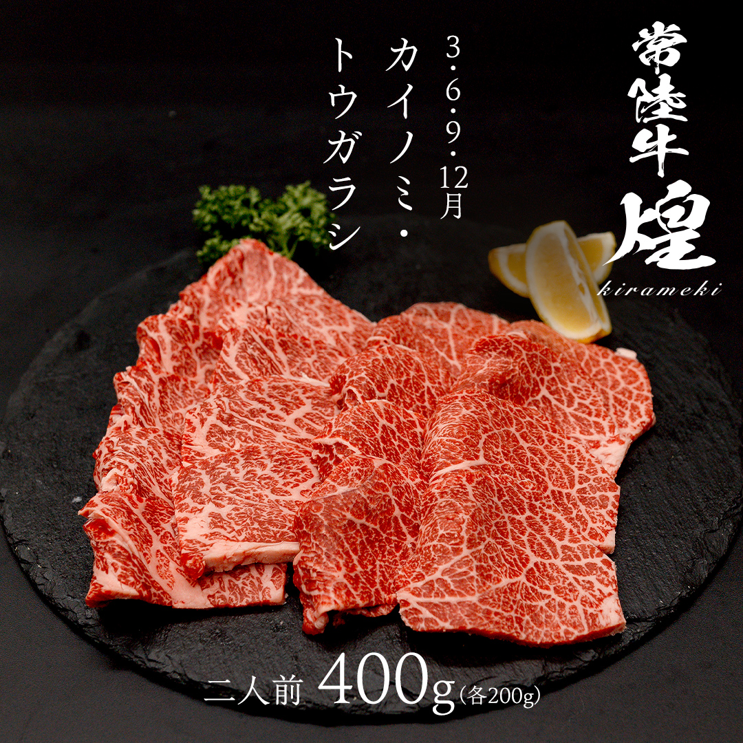 【定期便】＜全3回＞ 【 常陸牛 煌 】 三味食べつくしセット 約2人前 (茨城県共通返礼品)  牛肉 ブランド牛 きらめき 和牛 A5 黒毛和牛 国産黒毛和牛 国産牛 希少 贈答 ギフト [BX155-NT]