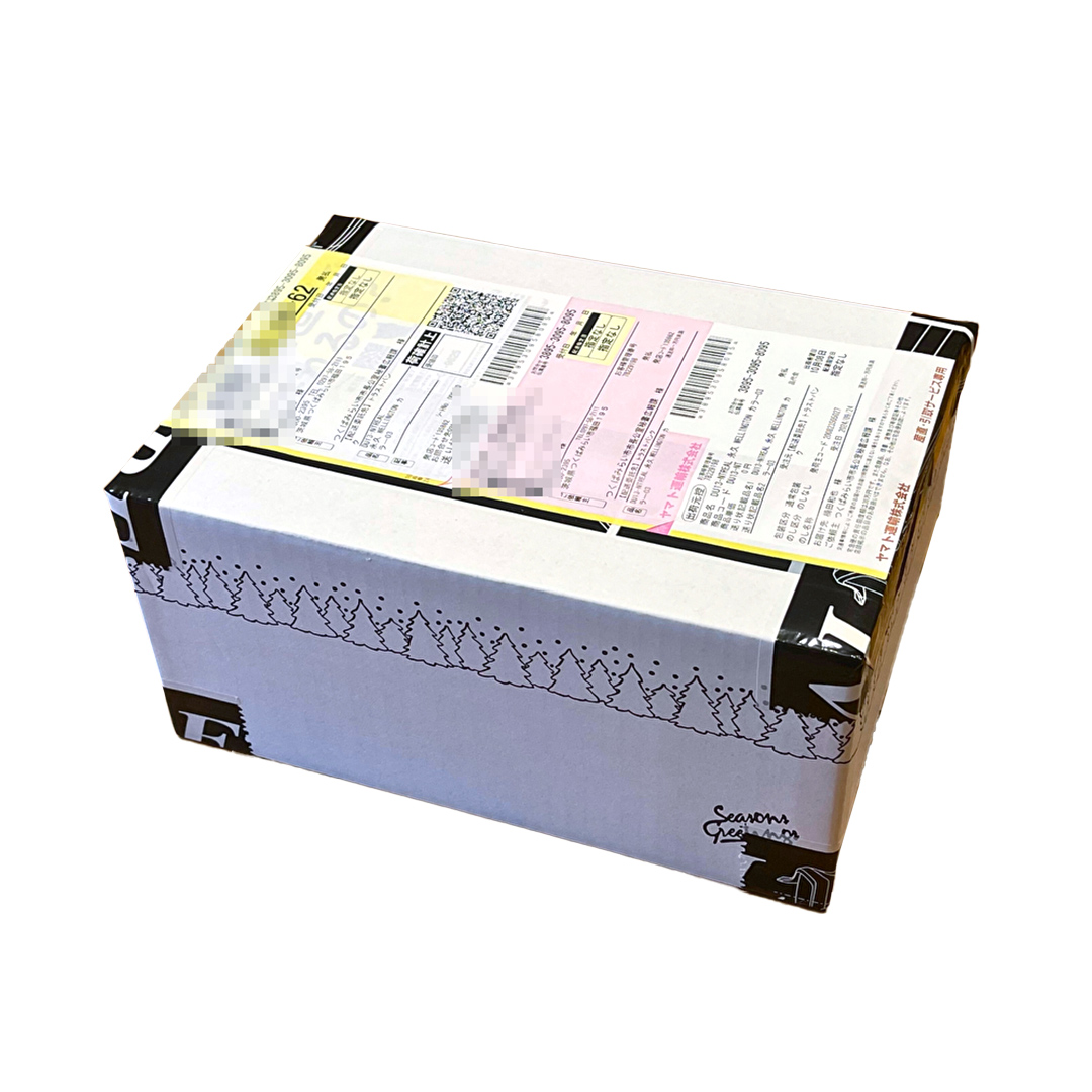 【 リアル メガネ タートル 】ＲＥＡＬ 温故知新 若狭 弐 カラー02  度無しブルーライトカットレンズ＆老眼レンズ対応 眼鏡 メガネフレーム 国産 鯖江製 [DU66-NT]