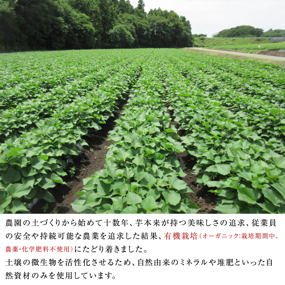 干し芋 紅はるか 丸干し 照沼Quality 150g×4袋 セット つくばみらい さつまいも 訳あり シロタ 干し芋 丸干し いも 照沼 食物繊維 農薬不使用 化学肥料不使用 不使用 [DY05-NT]