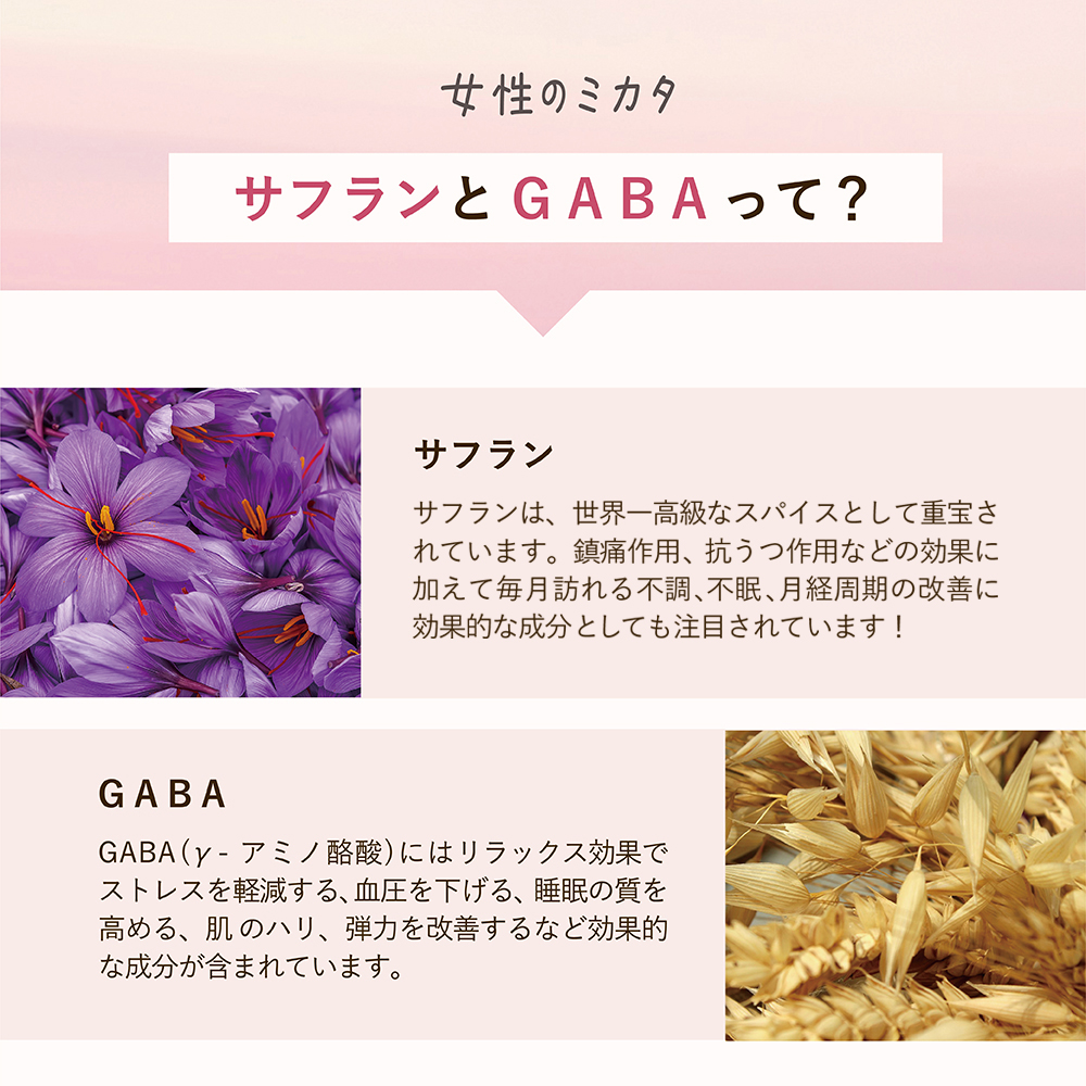 LINKA meal NAGI ドリップコーヒー 120g（8gx15袋）×2セット 計30杯 コーヒー 健康食品 美容 ドリップコーヒー お茶 ほうじ茶 ナギ 発酵 GABA インナービューティー セルフケア リフレッシュ 健康習慣 [EV36-NT]