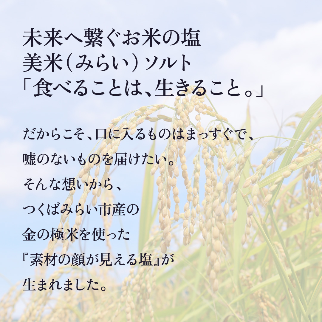 金の恵み米塩 美米～みらい～ ホワイト＆ブラックソルトセット（米塩＆もみ殻ロースト） ソルト しお salt 食べ比べ 調味料 塩 セット 便利 料理 味付 アレンジ こだわり 天然 ミネラル 手づくり さかたの塩 おにぎり 米 コシヒカリ こしひかり 玄米 甘み 旨味 Mirai Rice Salt [AI31-NT]