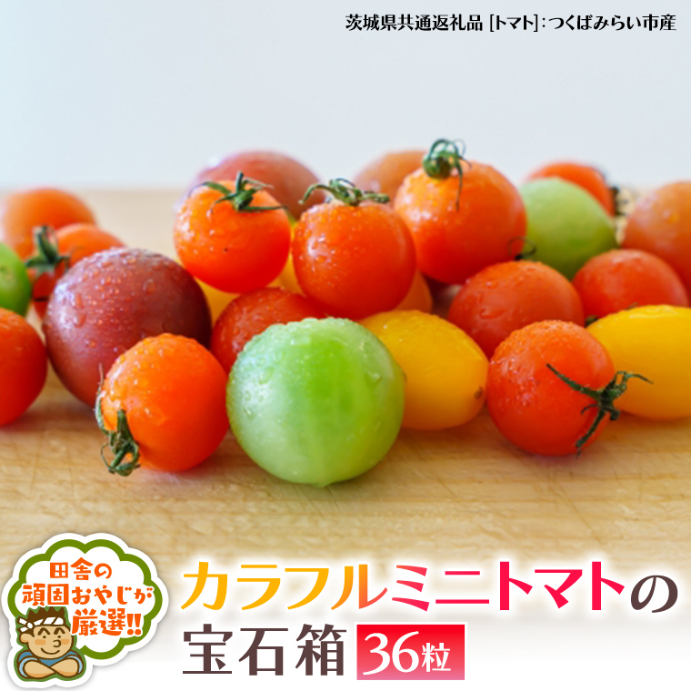 カラフルミニトマト の 宝石箱 36粒 【2026年1月から発送開始】トマト ミニトマト カラフル 野菜 フルーツ（茨城県共通返礼品 [トマト]：つくばみらい市産） [BI410-NT]