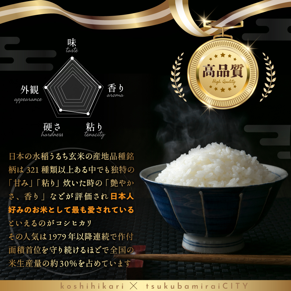 最短翌日出荷!! 令和7年産 茨城県産 コシヒカリ 1kg ( 1kg ×1袋) 五つ星 お米マイスター 監修 即納 こしひかり 国産 こめ コメ 米 精米 すぐ発送 人気 美味しい ランキング ふるさと納税 返礼品 [DW32-NT]