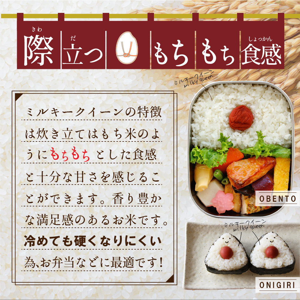 最短翌日出荷!! 茨城県産 ミルキークイーン 10kg ( 5kg ×2) 五つ星 お米マイスター 監修 即納 みるきーくいーん 国産 こめ コメ 米 精米 すぐ発送 人気 美味しい ランキング ふるさと納税 返礼品 [DW04-NT]