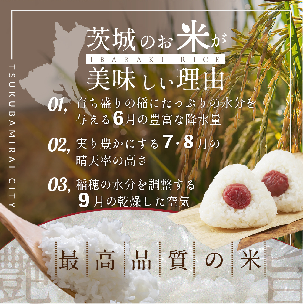 最短翌日出荷!! 茨城県産 ミルキークイーン 10kg ( 5kg ×2) 五つ星 お米マイスター 監修 即納 みるきーくいーん 国産 こめ コメ 米 精米 すぐ発送 人気 美味しい ランキング ふるさと納税 返礼品 [DW04-NT]