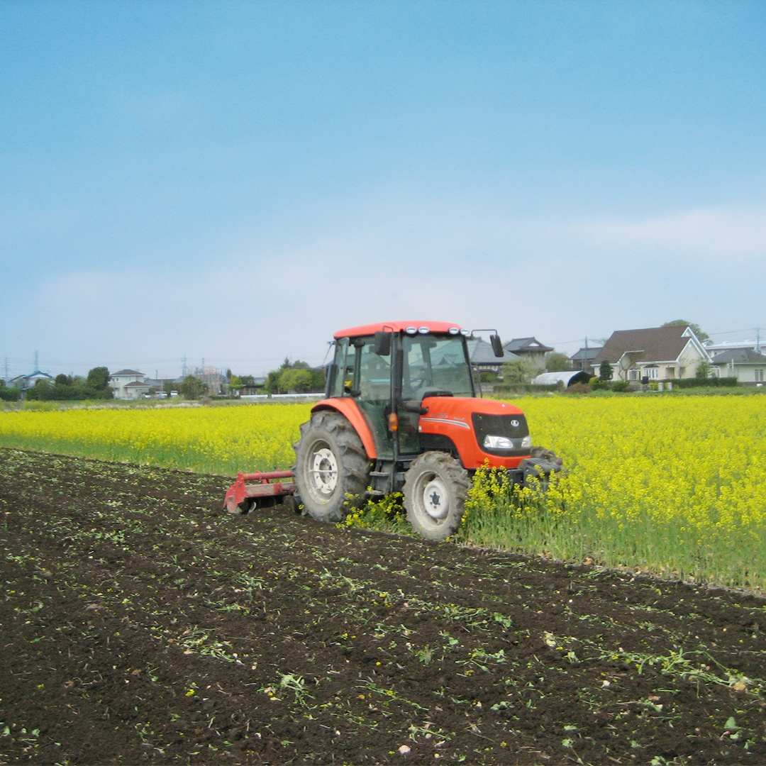 令和7年産 コシヒカリ ( 精米 10kg ) 特別栽培 菜の花米 「菜菜ちゃん」  米 こめ ごはん ご飯 白米 国産 茨城県産 新生活 プレゼント 新生活応援 必要なもの 便利 おすすめ 消耗品 一人暮らし 二人暮らし 必要 おいしい お土産 [H006-NT]