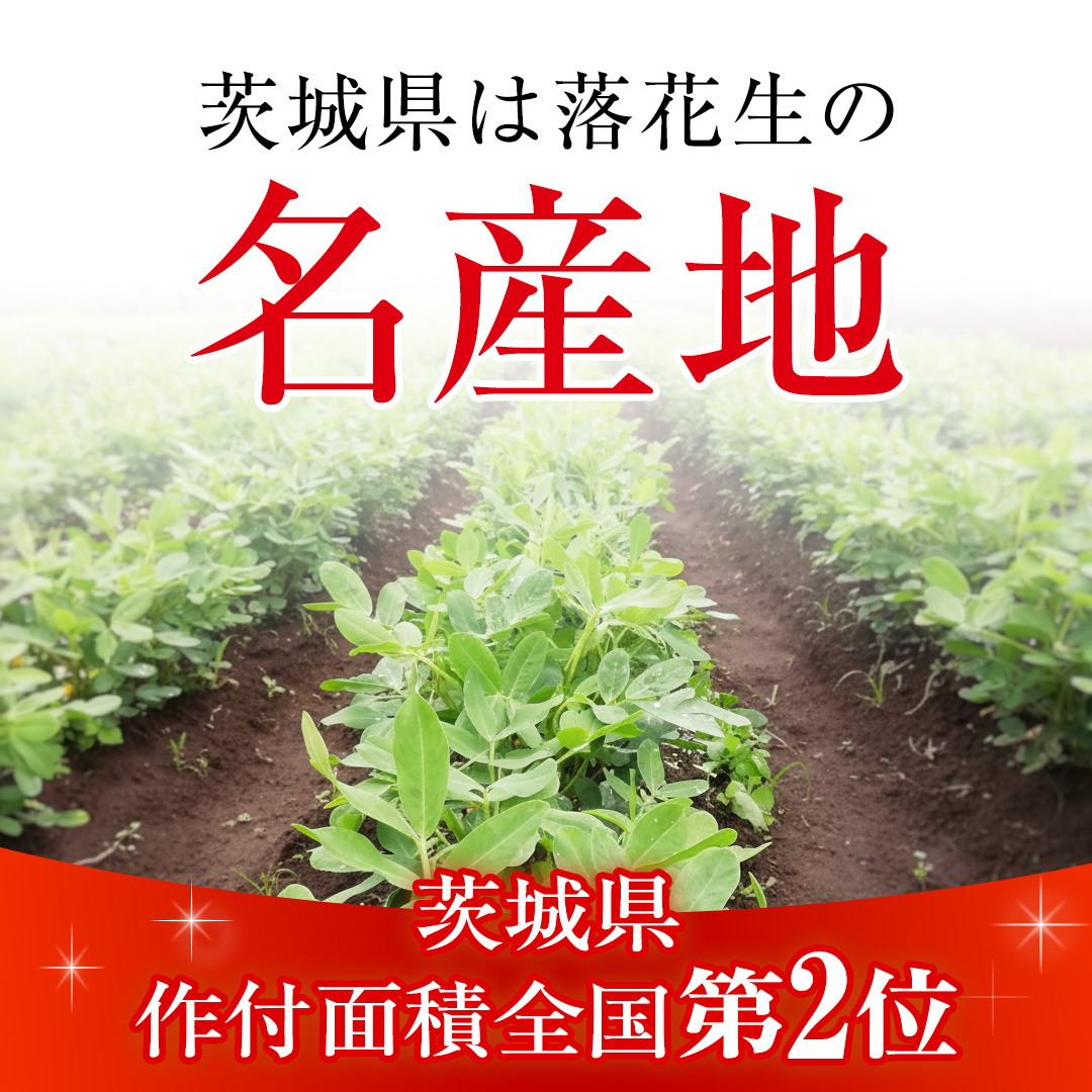 から付き落花生 味付落花生 贅沢セット （合計600g） 煎りざや落花生 おつまみ おやつ ピーナッツ 殻付き ナカテユタカ [EH19-NT]