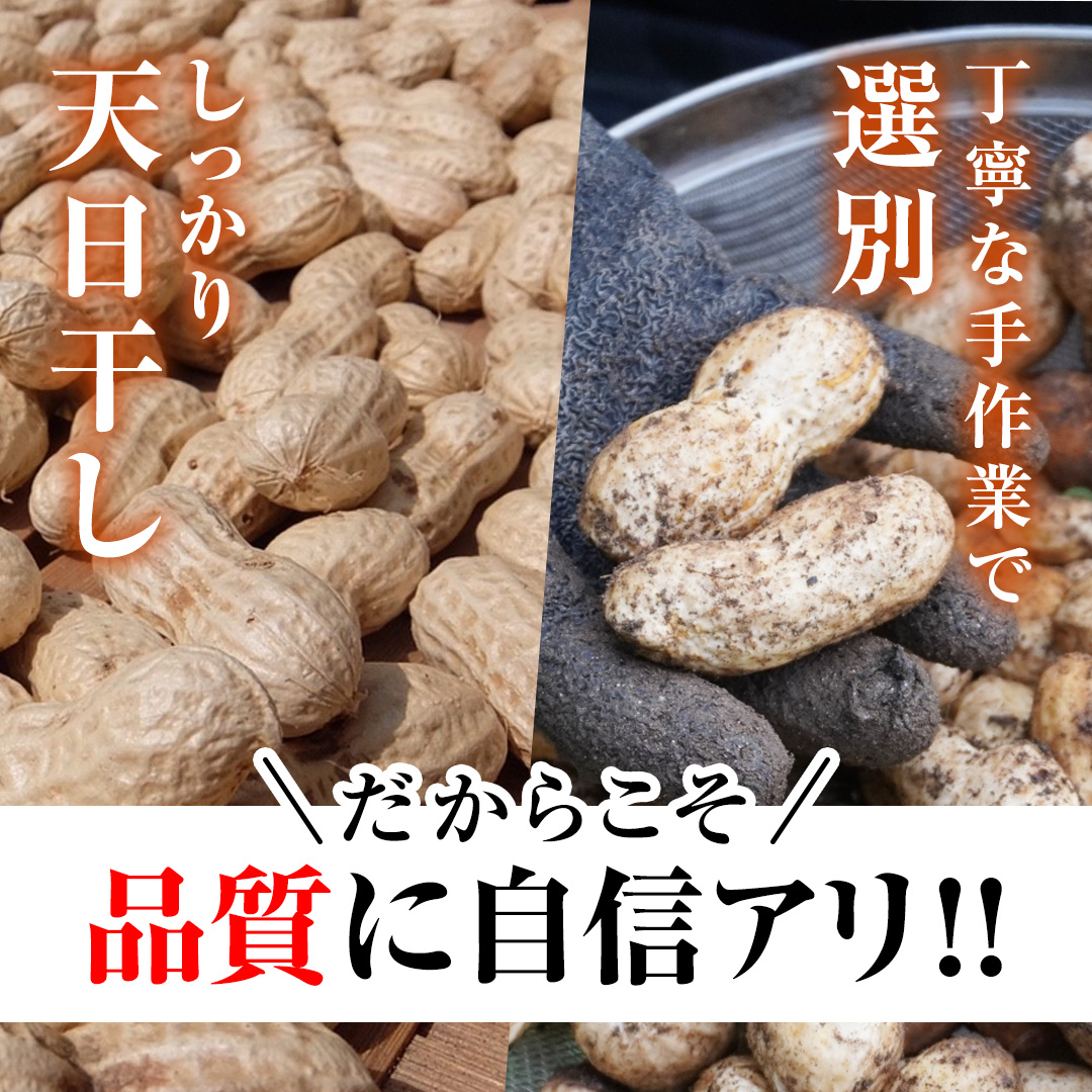 から付き落花生 味付落花生 贅沢セット （合計600g） 煎りざや落花生 おつまみ おやつ ピーナッツ 殻付き ナカテユタカ [EH19-NT]