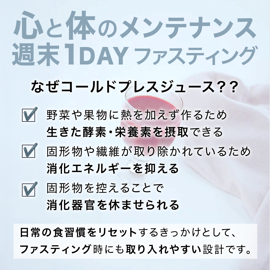 【1日ファスティングに最適】1day fasting コールドプレスジュース 6本セット 360ml×6種 酵素たっぷり 新鮮 野菜 果物使用[DZ26-NT]
