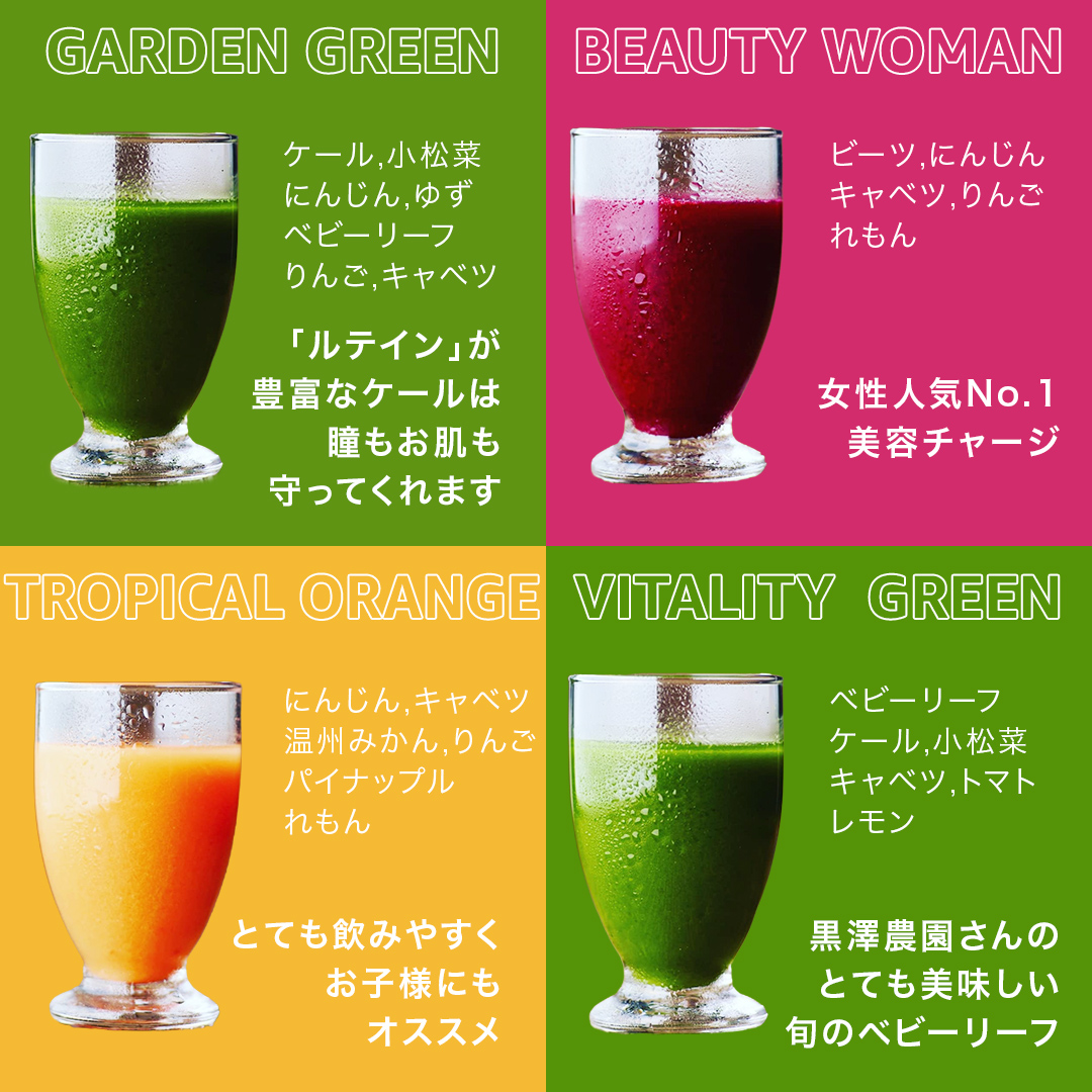 【1日ファスティングに最適】1day fasting コールドプレスジュース 6本セット 360ml×6種 酵素たっぷり 新鮮 野菜 果物使用[DZ26-NT]