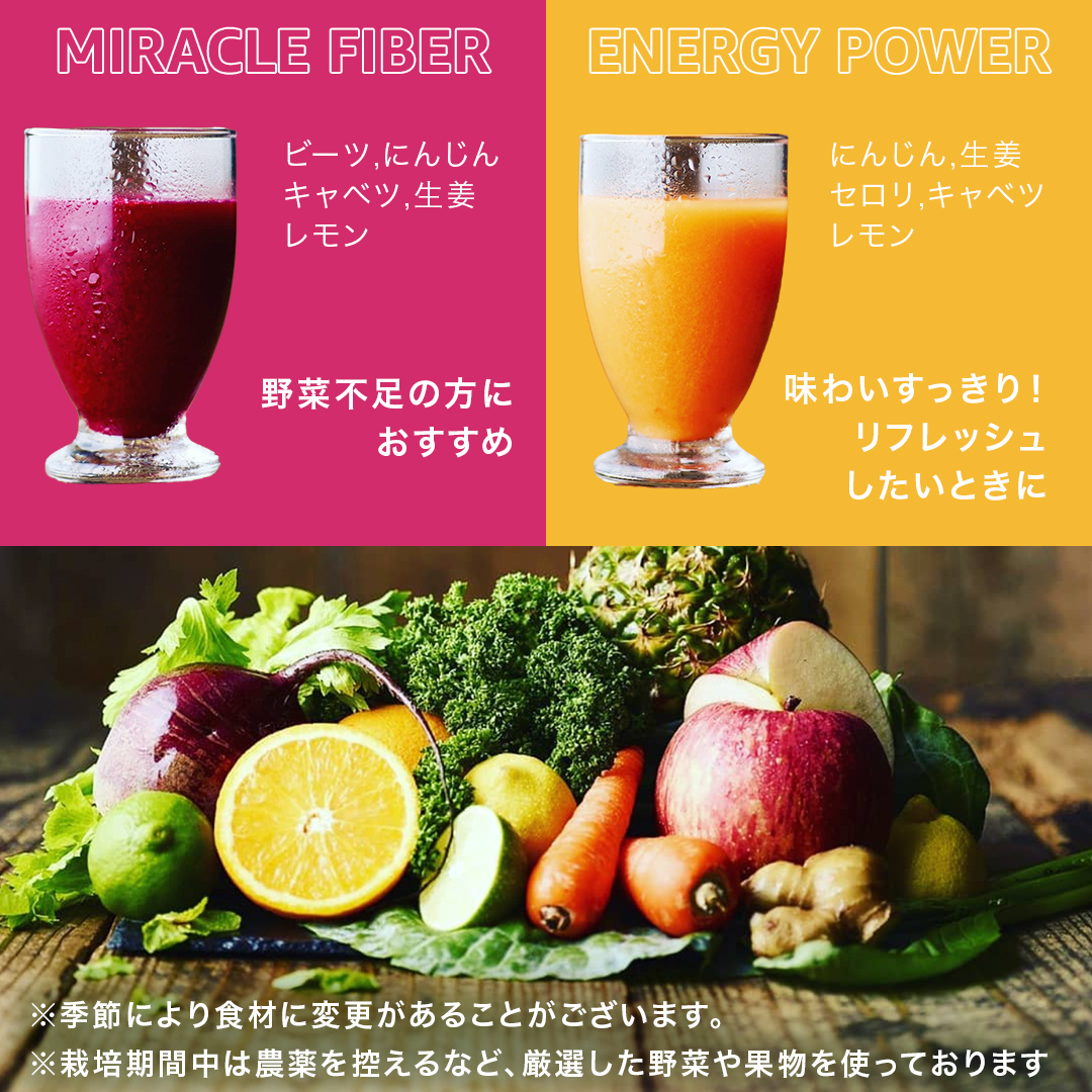【1日ファスティングに最適】1day fasting コールドプレスジュース 6本セット 360ml×6種 酵素たっぷり 新鮮 野菜 果物使用[DZ26-NT]