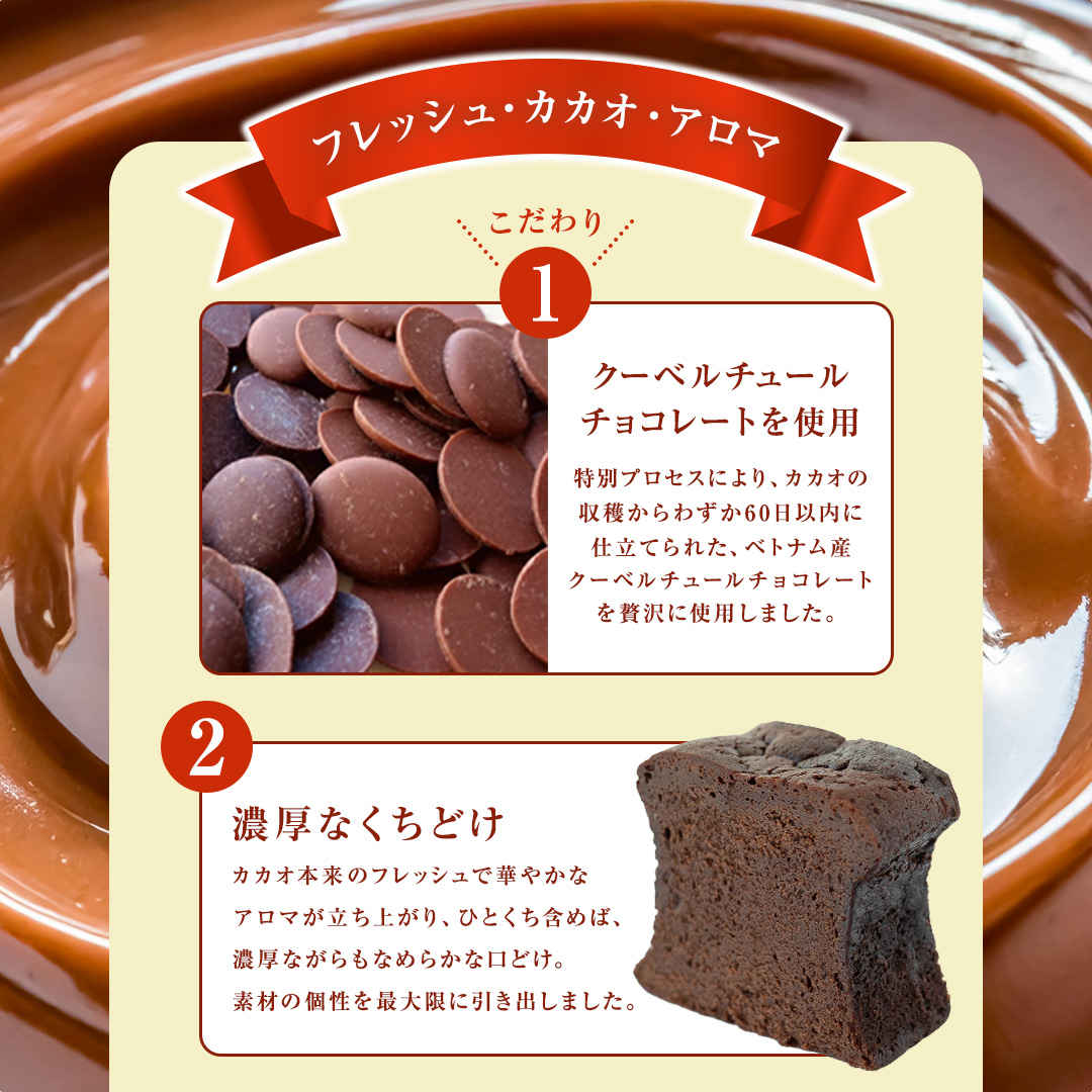 ガトーショコラ フレッシュ・カカオ・アロマ チョコレート チョコ ガトーショコラ テリーヌショコラ スイーツ デザート 高級 ギフト 贈り物 お礼 プレゼント 手土産 お菓子 [DJ64-NT]