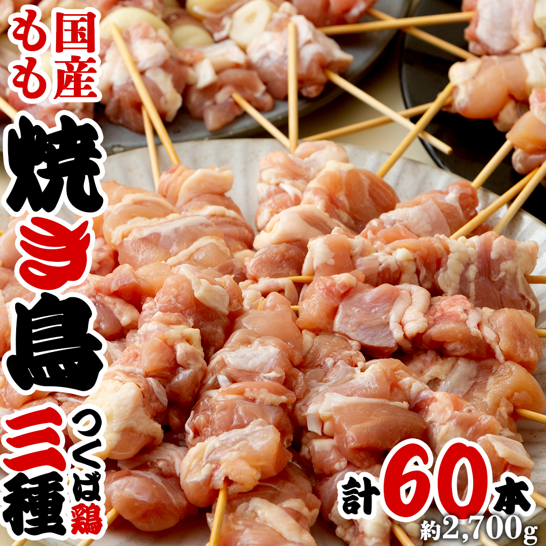 1本45g！合計約2700g！食べ応えバツグン、つくば鶏 焼き鳥 モモ 3種60本 セット （各20本入り） 焼鳥 鶏肉 おかず おつまみ [AI11-NT]