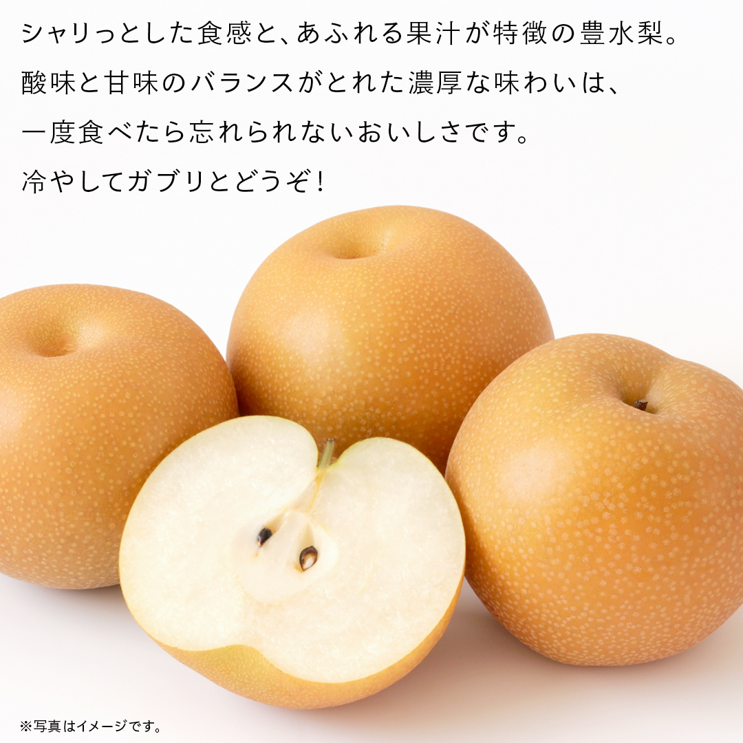 豊水 梨 10kg （18～24玉）【2026年9月より発送開始】（茨城県共通返礼品 [梨]：大子町産） なし 旬 お取り寄せ フルーツ 甘い ジューシー 和梨 時期 [FC06-NT]