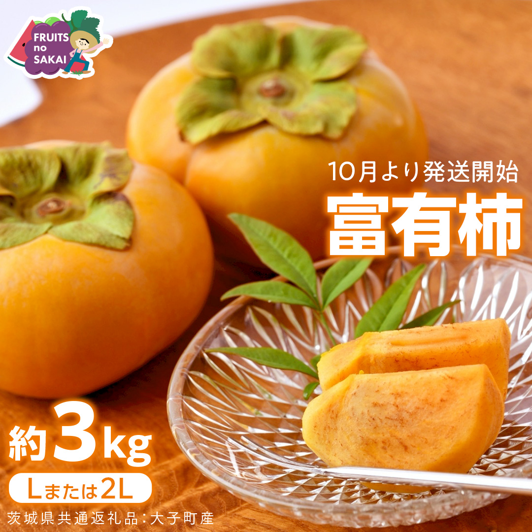 富有柿 Lまたは2L 約3kg【2026年10月より発送開始】（茨城県共通返礼品 [柿]：大子町産） | 柿  かき 旬 お取り寄せ フルーツ 甘い 秋の味覚 [FC23-NT]