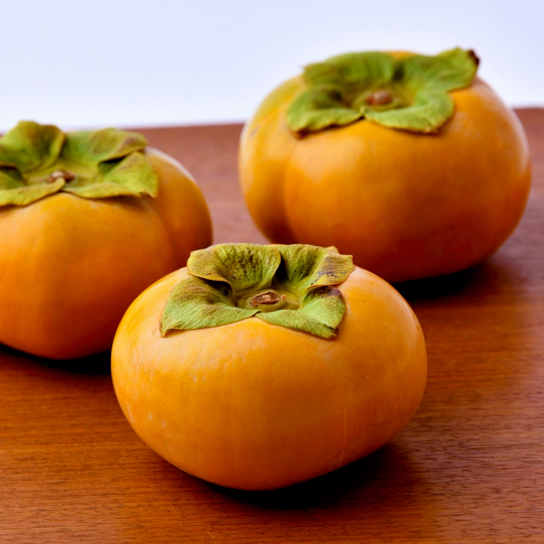 富有柿 2L以上 約10kg【2026年10月より発送開始】（茨城県共通返礼品 [柿]：大子町産） |柿  かき 旬 お取り寄せ フルーツ 甘い 秋の味覚 [FC24-NT]