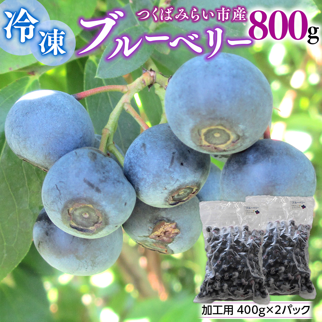 つくばみらい市 産 冷凍 ブルーベリー 800g ( 400g ×2パック ) 国産 農薬無使用 自家農場 果物 就労継続支援 フルーツ おいしい 冷凍ブルーベリー フリーズ [DG02-NT］