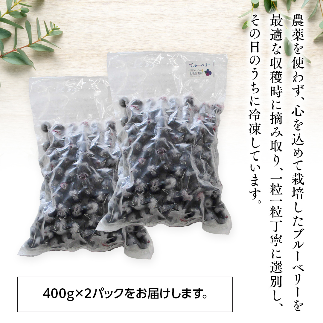 つくばみらい市 産 冷凍 ブルーベリー 800g ( 400g ×2パック ) 国産 農薬無使用 自家農場 果物 就労継続支援 フルーツ おいしい 冷凍ブルーベリー フリーズ [DG02-NT］