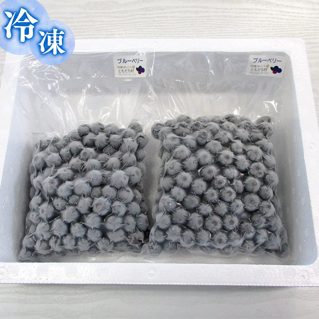つくばみらい市 産 冷凍 ブルーベリー 800g ( 400g ×2パック ) 国産 農薬無使用 自家農場 果物 就労継続支援 フルーツ おいしい 冷凍ブルーベリー フリーズ [DG02-NT］