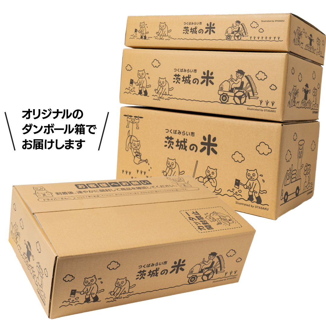 【 最短2日 スピード発送！】 コシヒカリ 5kg 令和7年産精米 【 数量限定 】 茨城県つくばみらい市産 精米 こしひかり コシヒカリ 即納 米 コメ こめ 単一米 限定 茨城県産 国産 美味しい お米 おこめ おコメ [CL267-NT]