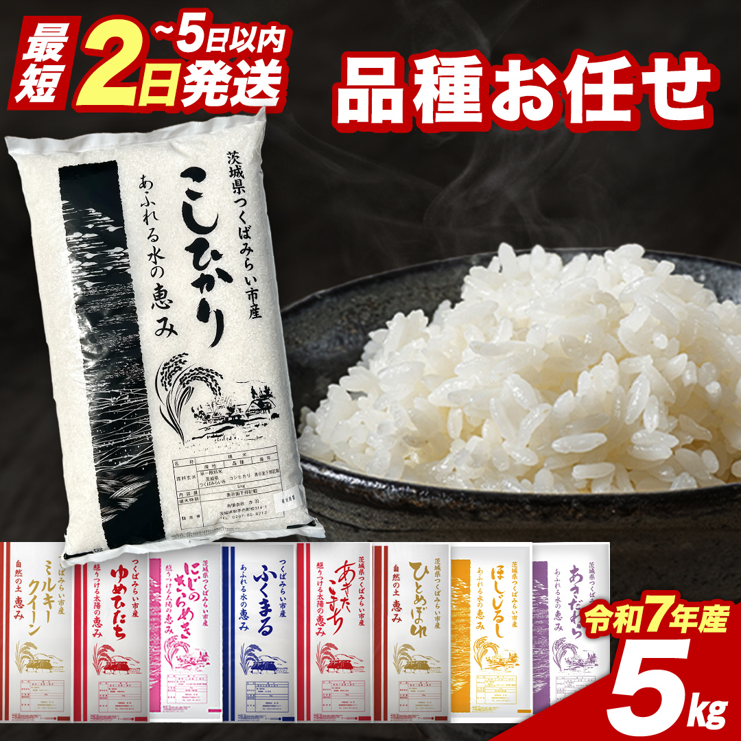 【 最短2日 スピード発送！】 品種おまかせ 5kg 茨城県つくばみらい市産 精米 こしひかり コシヒカリ あきたこまち ひとめぼれ ふくまる ゆめひたち ミルキークイーン にじのきらめき 即納 米 コメ こめ 単一米 限定 茨城県産 国産 美味しい お米 おこめ おコメ [CL263-NT]