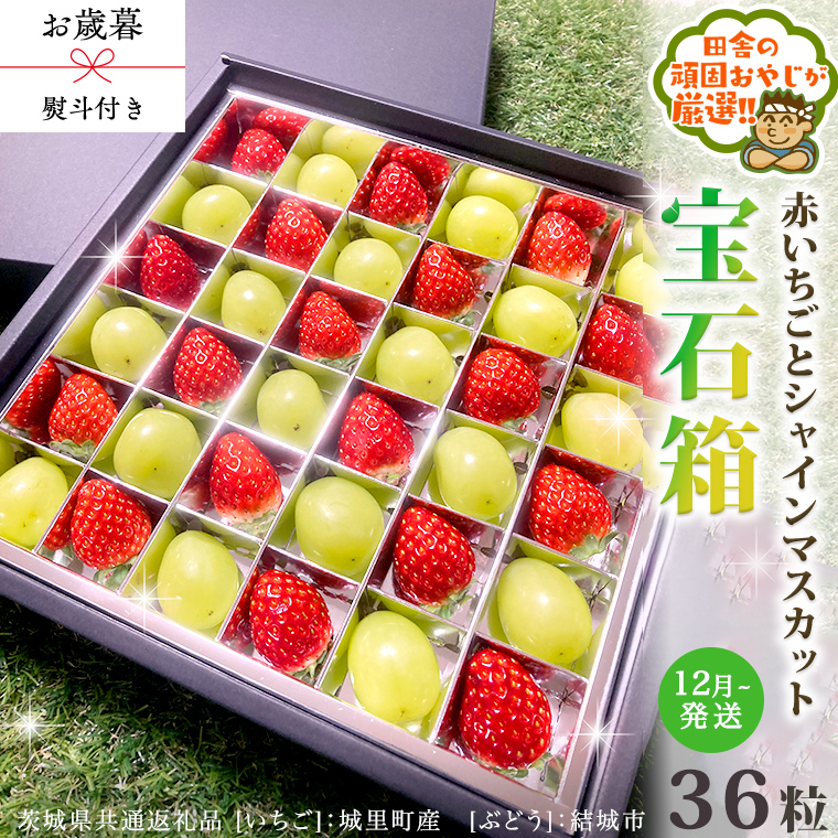 【 お歳暮 熨斗付 】赤いちごとシャインマスカットの宝石箱 36粒【2026年12月から発送開始】（茨城県共通返礼品 [いちご]：城里町産　[ぶどう]：結城市） いちご 苺 イチゴ 白いちご 白イチゴ シャインマスカット マスカット 宝石箱 [BI378-NT]