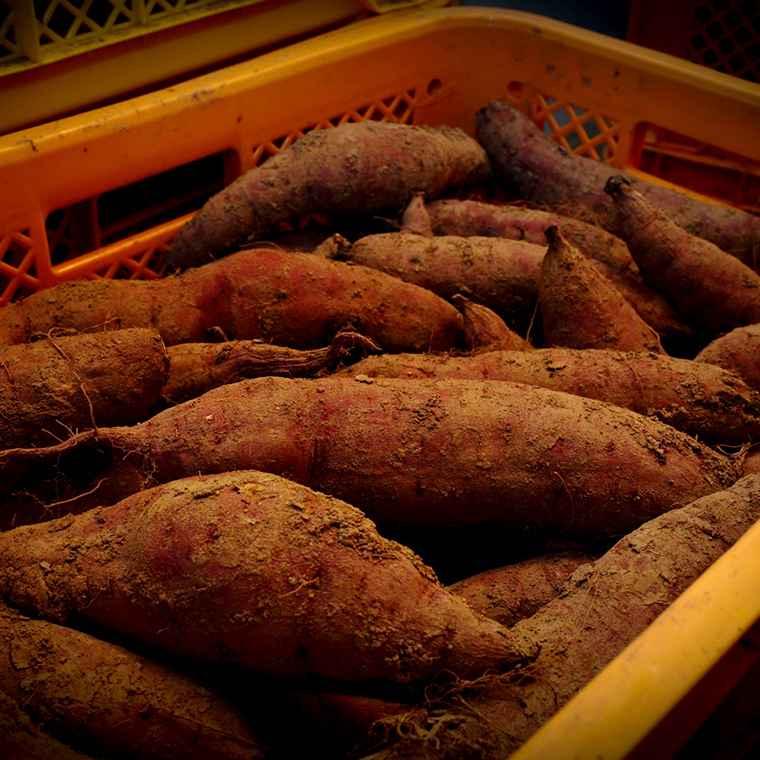  自慢のしっとり 干し芋 1kg 寒干し 「極み」 紅はるか いも イモ さつまいも サツマイモ 国産 甘い ほし芋 べにはるか 庄七農園 [BK07-NT]