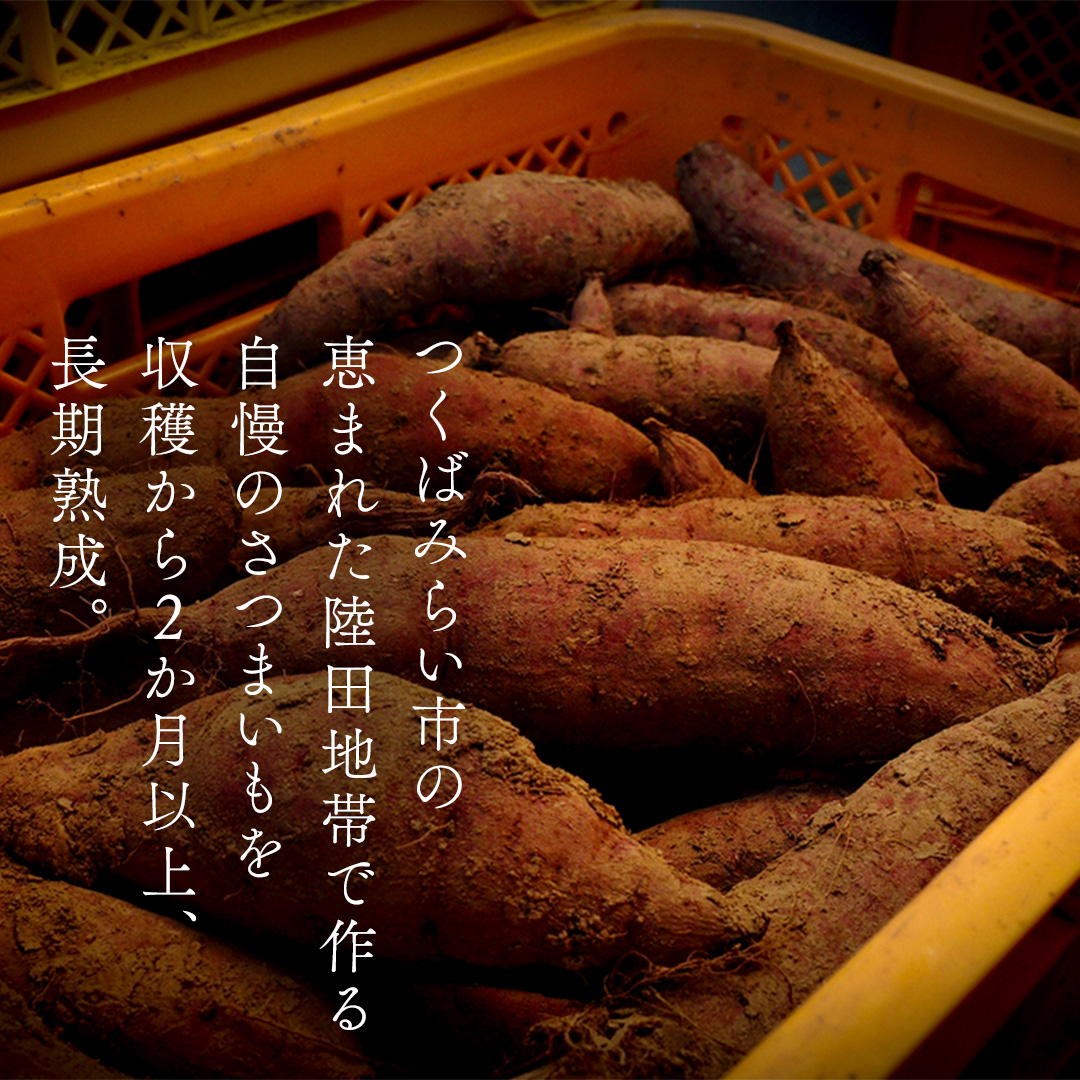 【 簡易包装・ご自宅用 】 干し芋 寒干し 極 100g×5パック 小分け ほしいも いも 芋 さつまいも さつま芋 お菓子 おやつ スイーツ 甘い 庄七農園 [BK33-NT]