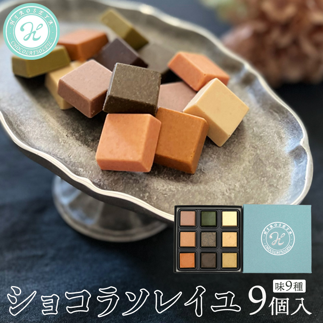 ショコラソレイユ 9種 チョコレート チョコ スイーツ デザート 高級 ギフト 贈り物 お礼 プレゼント 手土産 お菓子 [DJ07-NT]