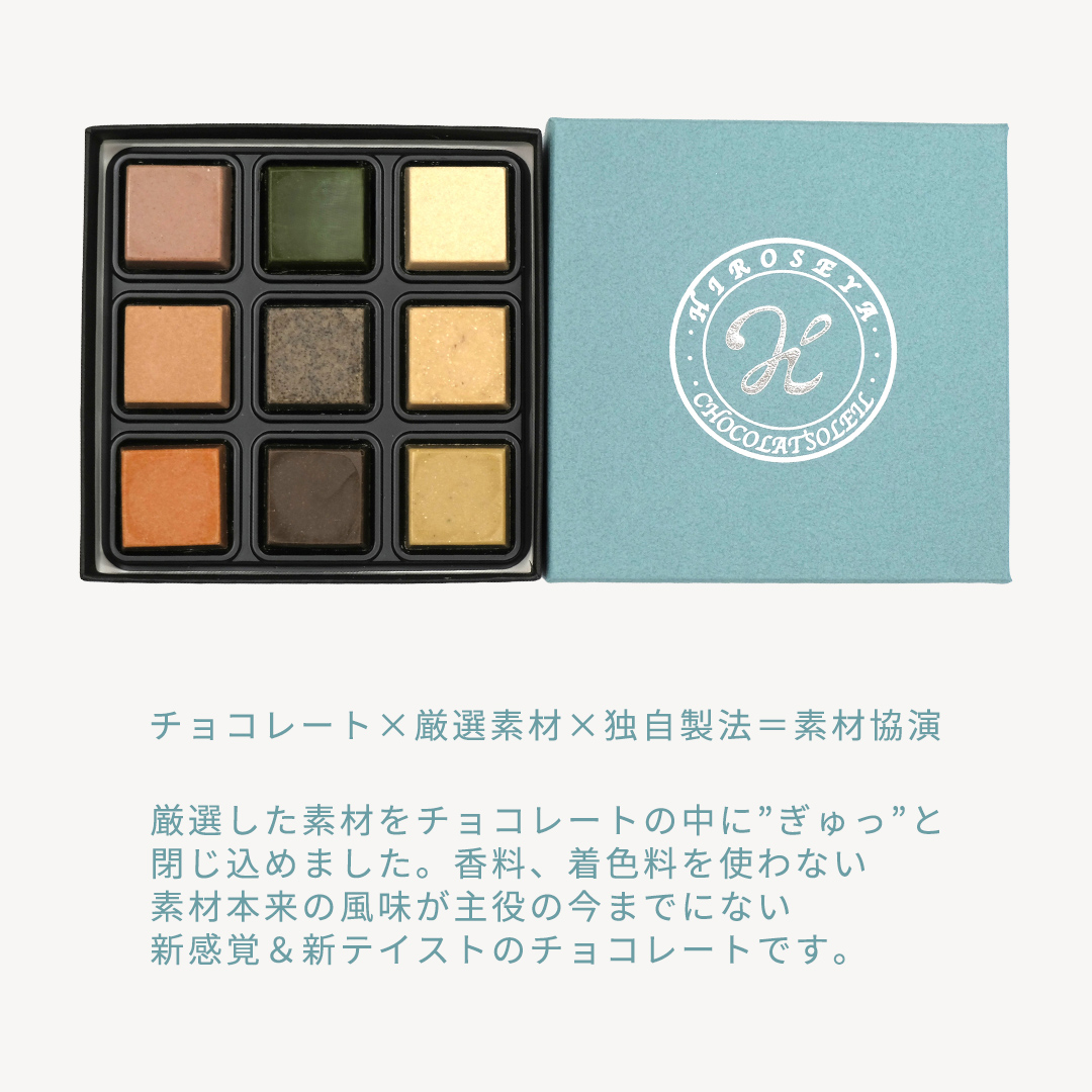 【 お中元 熨斗付 】 ショコラソレイユ 9種 チョコレート チョコ スイーツ デザート 高級 ギフト 贈り物 お礼 プレゼント 手土産 お菓子 [DJ08-NT]