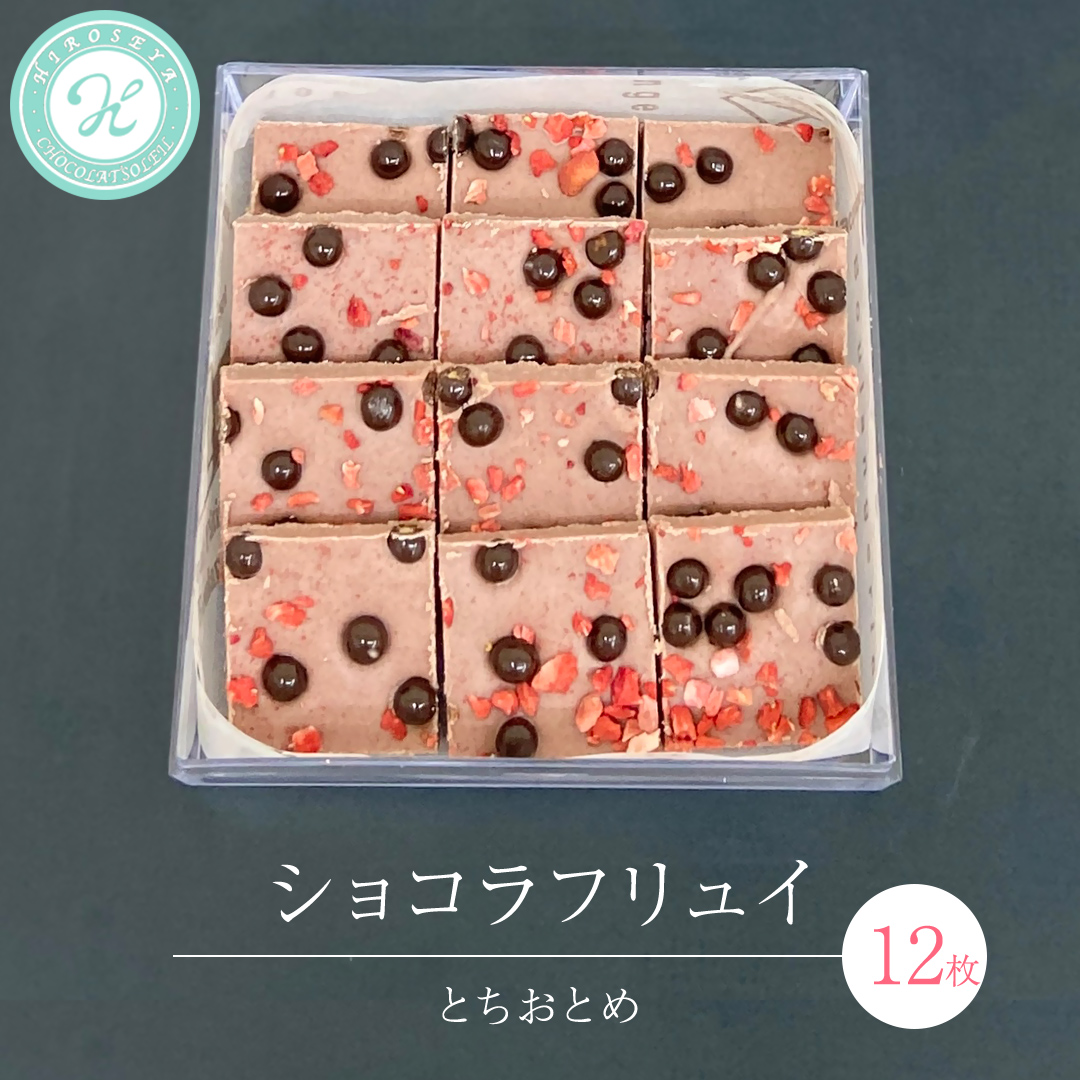 ショコラフリュイ とちおとめ 12枚 チョコレート チョコ スイーツ デザート 高級 ギフト 贈り物 お礼 プレゼント 手土産 お菓子 [DJ49-NT]