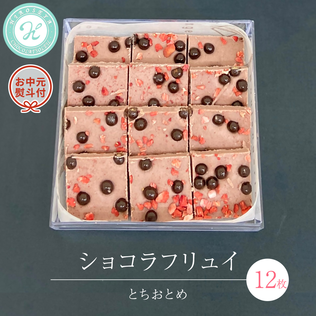 【 お中元 熨斗 付】 ショコラフリュイ とちおとめ 12枚 チョコレート チョコ スイーツ デザート 高級 ギフト 贈り物 お礼 プレゼント 手土産 お菓子 [DJ50-NT]