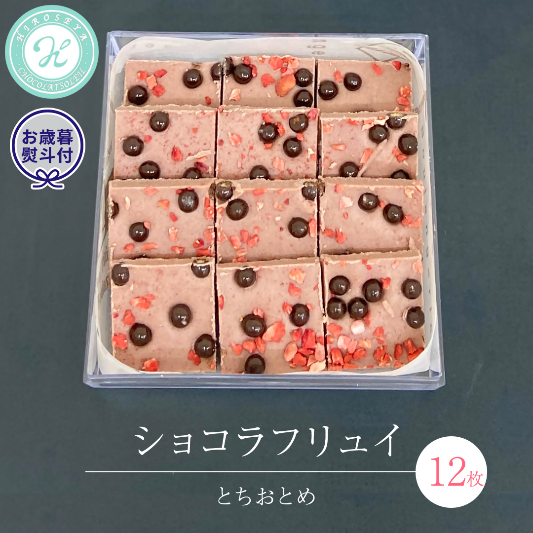 【 お歳暮 熨斗 付】 ショコラフリュイ とちおとめ 12枚 チョコレート チョコ スイーツ デザート 高級 ギフト 贈り物 お礼 プレゼント 手土産 お菓子 [DJ51-NT]